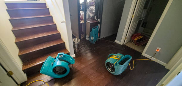 Best Flood restoration services  in Kaibito, AZ