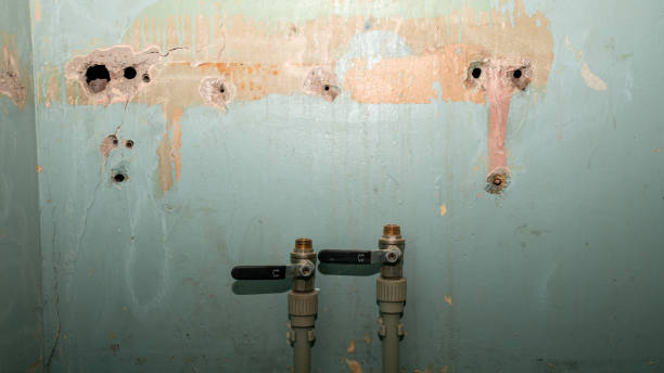 Best Water damage contractors near me  in Kaibito, AZ