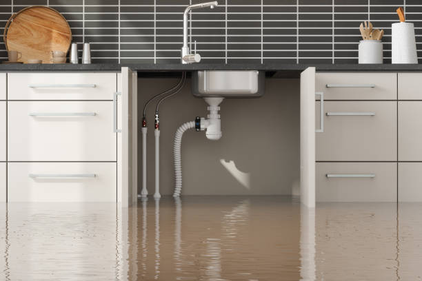 Carpet water damage restoration in Kaibito, AZ